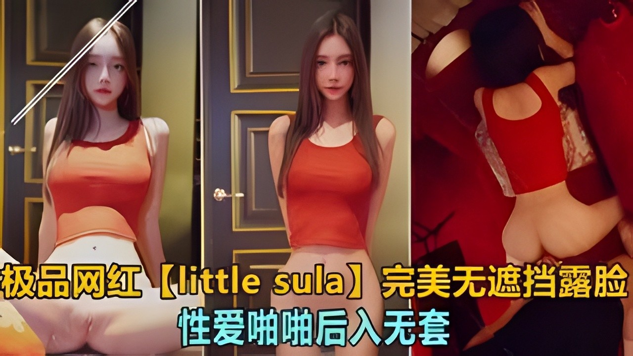 极品网红littlesula完美无遮挡露脸脸点同框性爱啪啪后入无套-极品