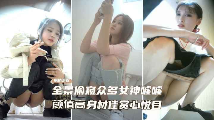 高端窥视商场女卫生间全景偷拍多位小姐姐嘘嘘绝佳身材人美逼靓-极品