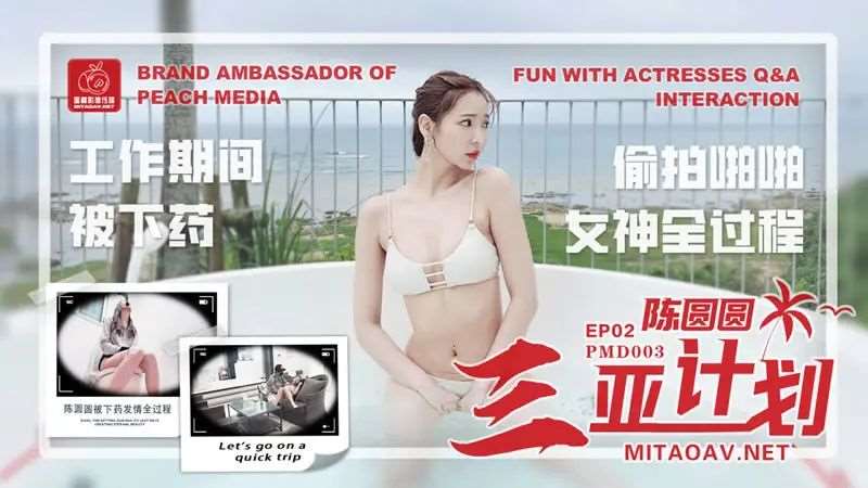 【辉月杏梨】三亚计划 工作期间被下药 偷拍啪啪女神全过程-精品