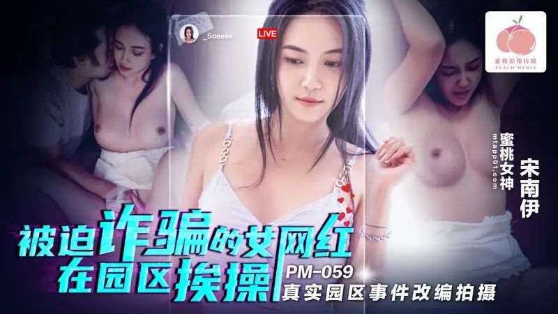 【宋南伊】被迫诈骗的女网红在园区挨操-精品